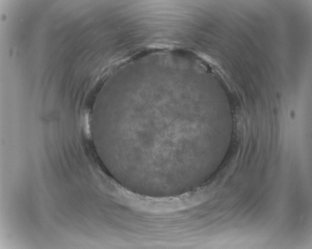 X0000066970042200603271219