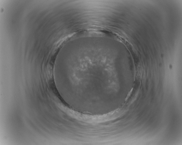 X0000066970043200603271219