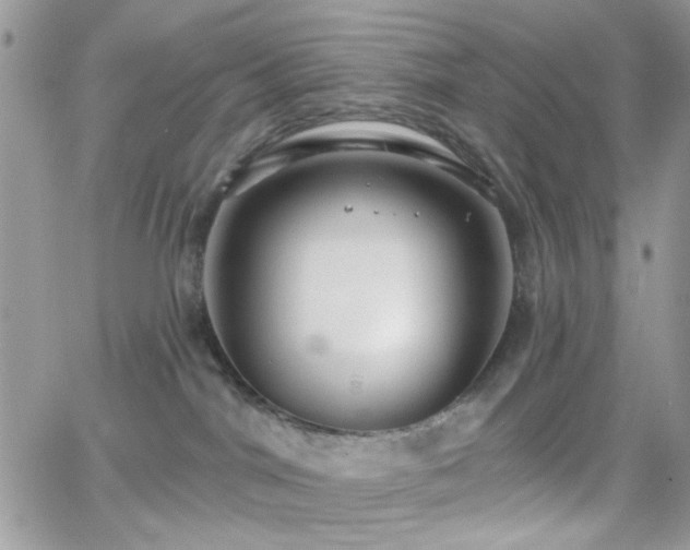 X0000066970044200603271219