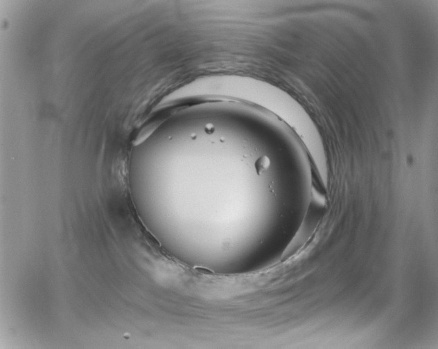 X0000066970045200603271219