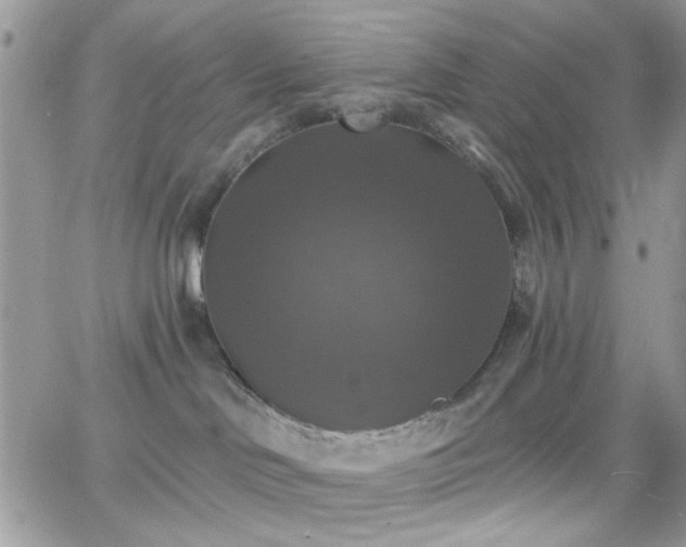 X0000066970046200603271219