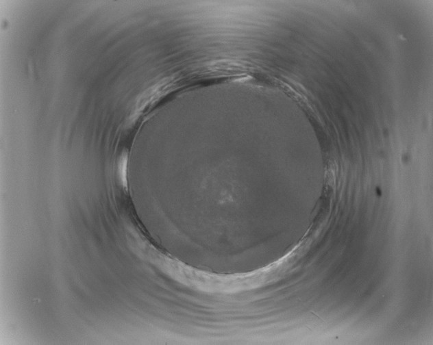 X0000066970047200603271219