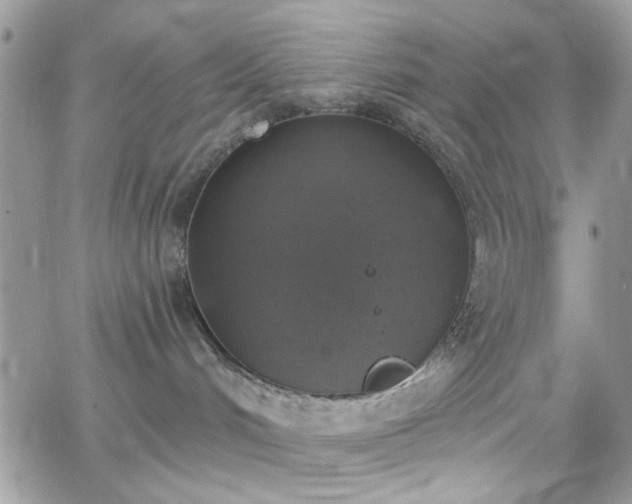 X0000066970048200603271219