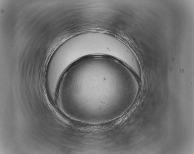 X0000066970049200603271218