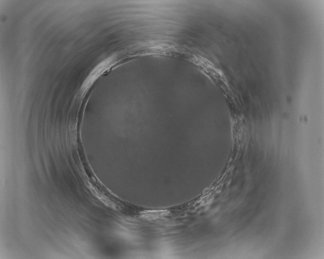 X0000066970051200603271218