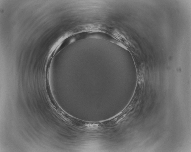 X0000066970052200603271218