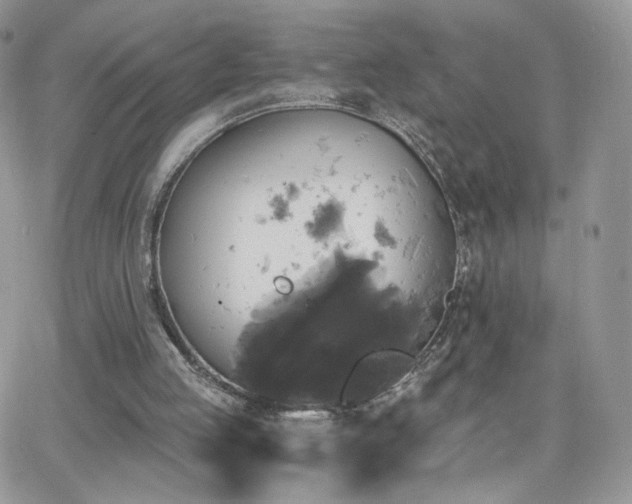 X0000066970053200603271218