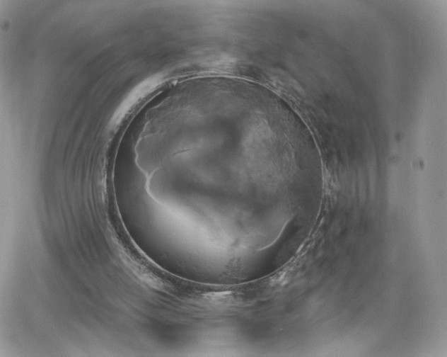 X0000066970054200603271218