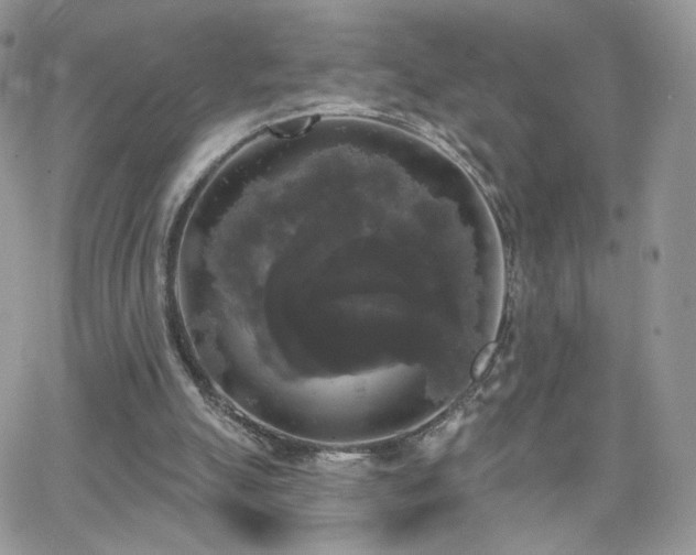 X0000066970055200603271218