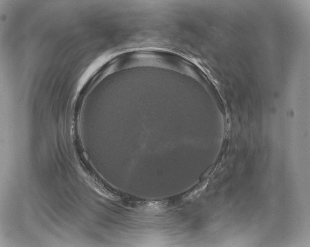 X0000066970056200603271218