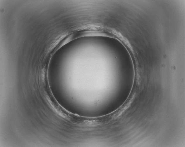 X0000066970057200603271218