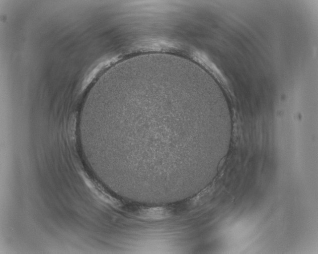 X0000066970058200603271218