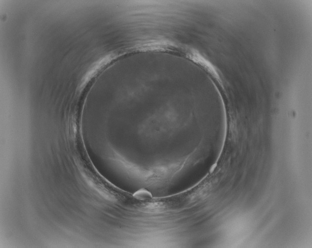 X0000066970059200603271218