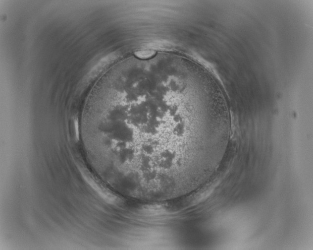 X0000066970061200603271218