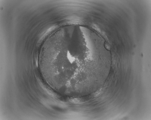 X0000066970062200603271218