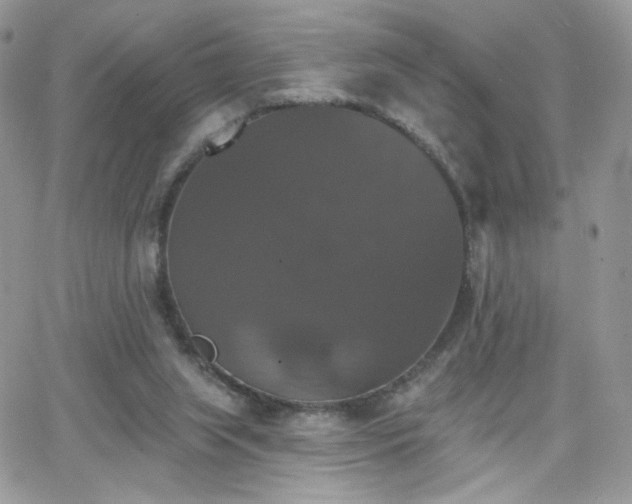 X0000066970063200603271218