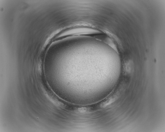 X0000066970064200603271219