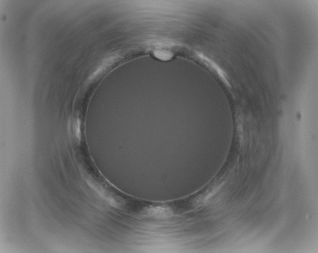 X0000066970067200603271219