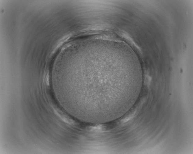 X0000066970068200603271219