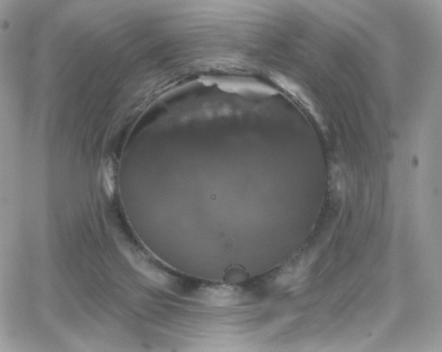 X0000066970069200603271219