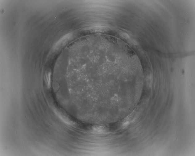 X0000066970070200603271219