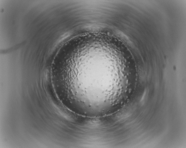 X0000066970071200603271219