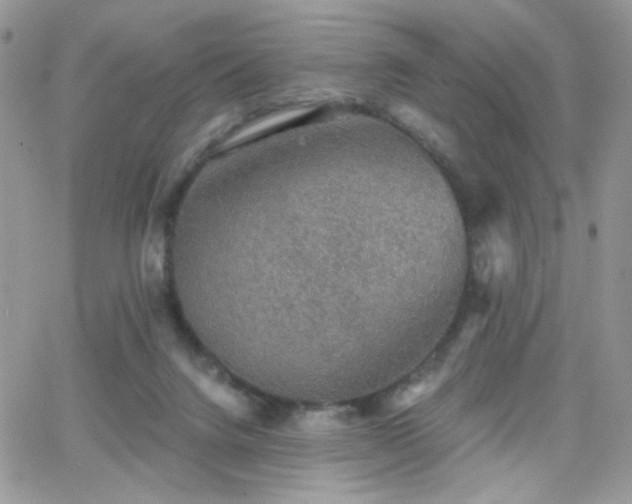 X0000066970072200603271219