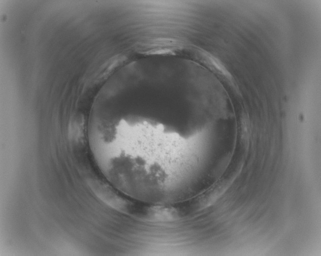 X0000066970073200603271219