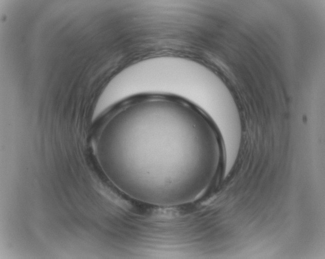 X0000066970077200603271219