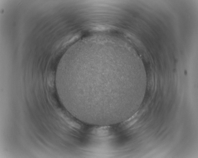 X0000066970078200603271219