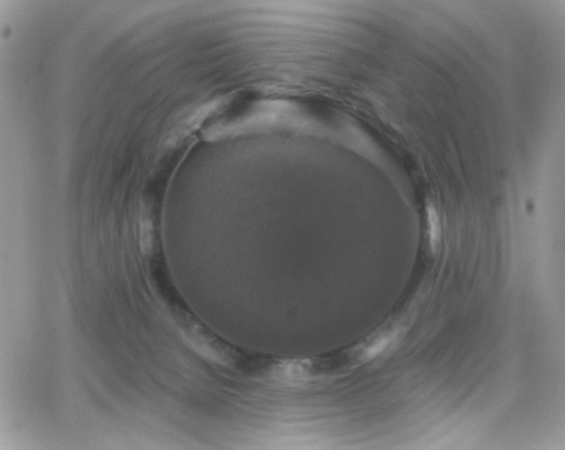 X0000066970080200603271219