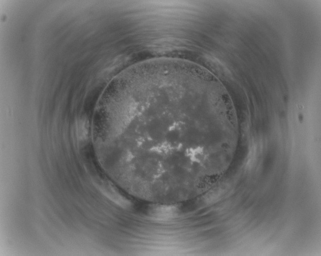 X0000066970081200603271219