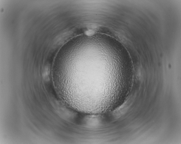 X0000066970082200603271219