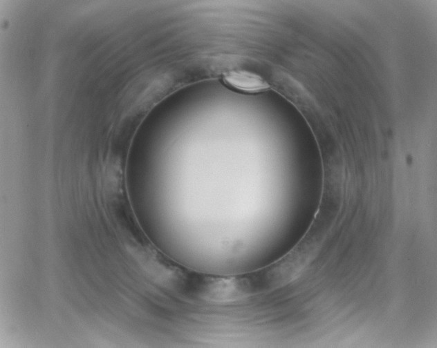 X0000066970083200603271219