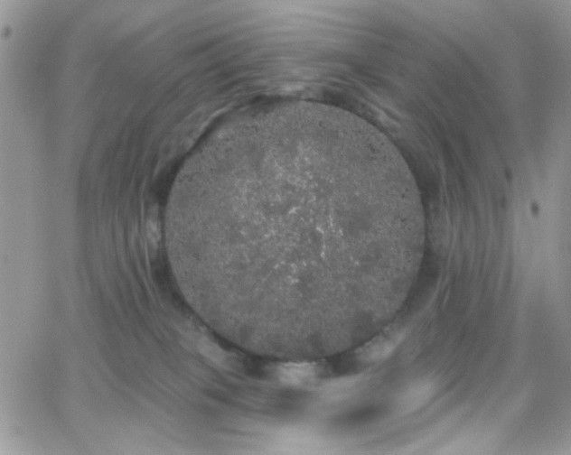 X0000066970085200603271219