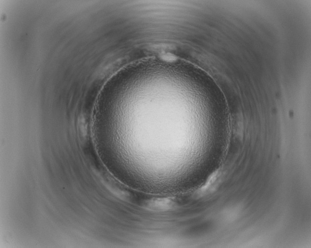 X0000066970086200603271219