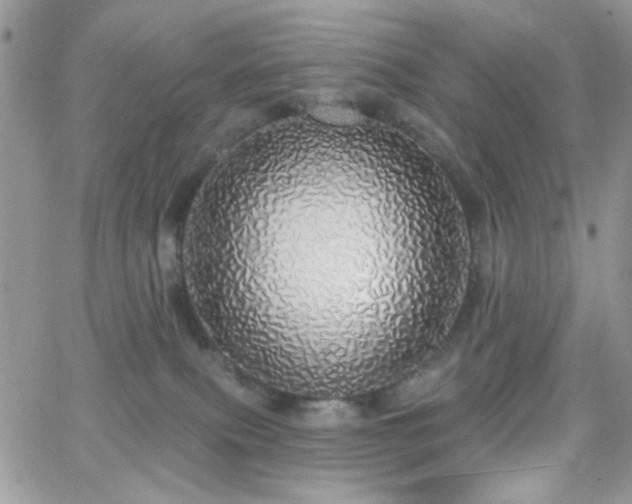 X0000066970087200603271219