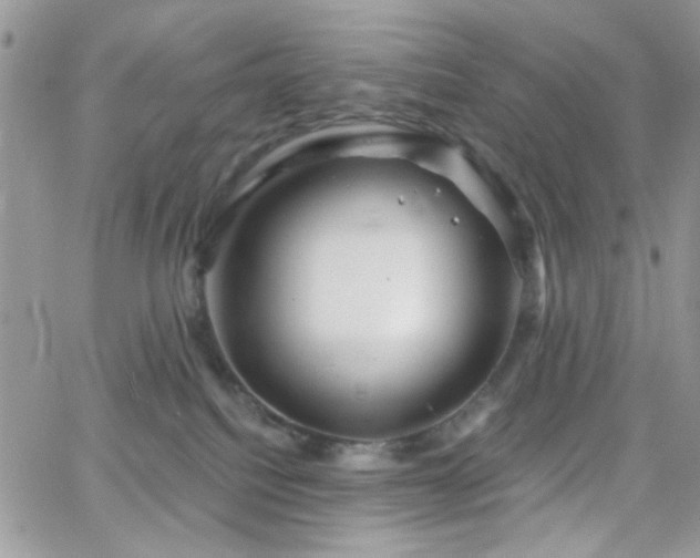 X0000066970088200603271219