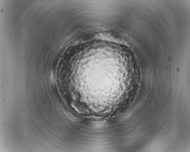 X0000066970089200603271219