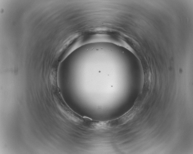 X0000066970092200603271219