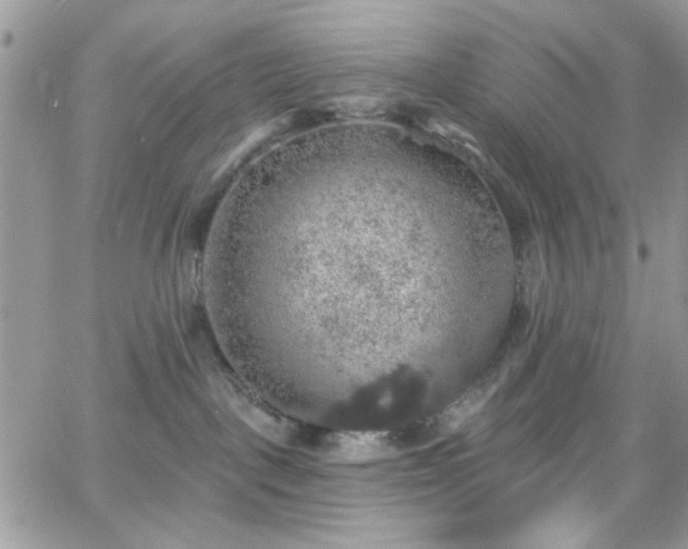 X0000066970093200603271219