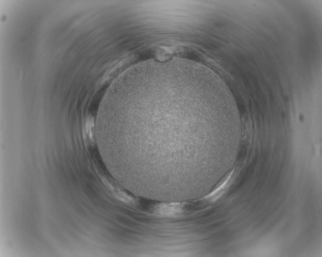 X0000066970094200603271219