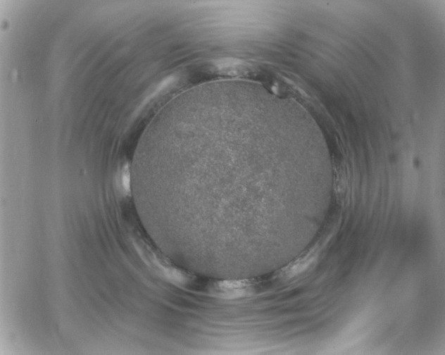 X0000066970095200603271219