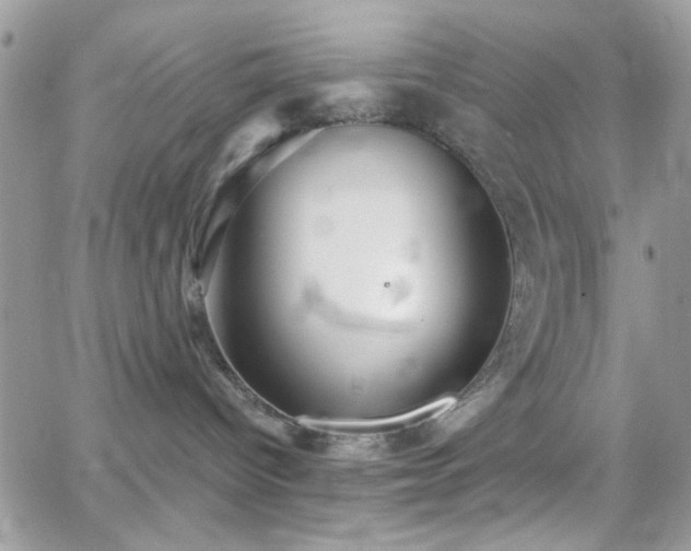 X0000066970096200603271219