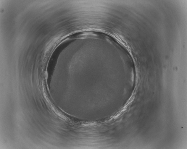 X0000066970097200603271218