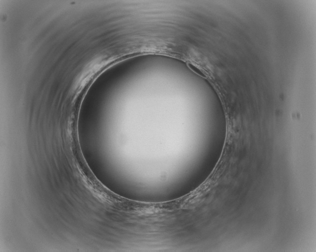 X0000066970098200603271218