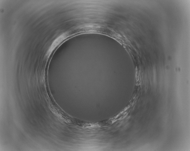 X0000066970099200603271218