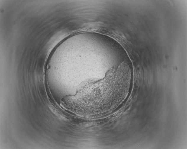 X0000066970100200603271218