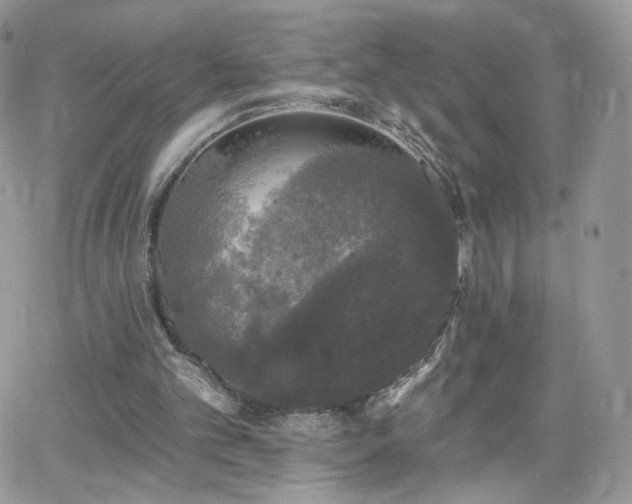 X0000066970101200603271218