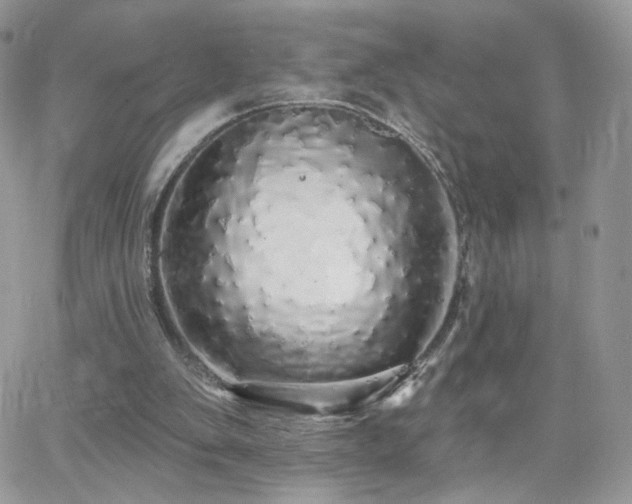 X0000066970103200603271218